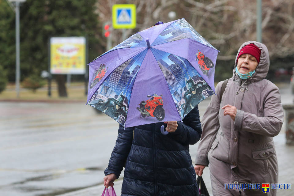 Дожди и ночные заморозки прогнозируют в Волгограде 27 апреля