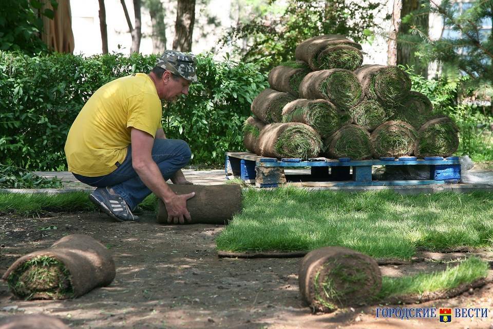 В Волгограде обновят бульварную зону на улице Титова