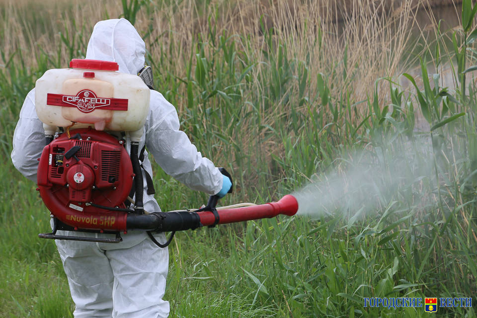 В Волгоградской области началась борьба с комарами