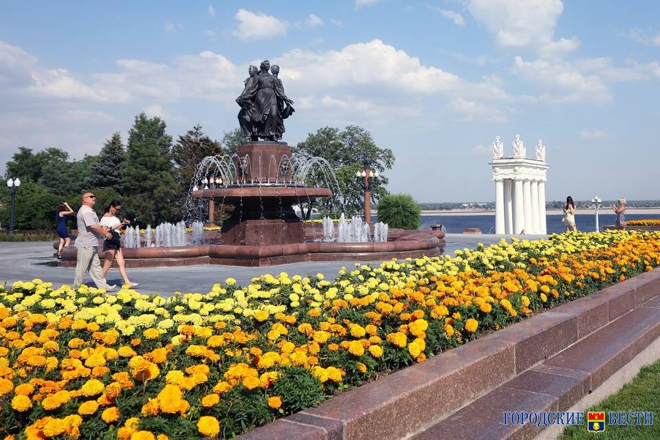 В Волгограде 1 июня пройдет «Парад колясок»