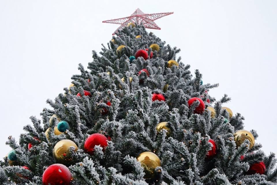 Волгоградцев ждут 10-дневные новогодние каникулы в 2022 году
