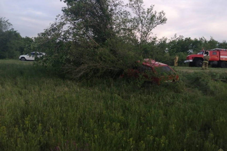 В ДТП с деревом под Волгоградом погибли 2 человека
