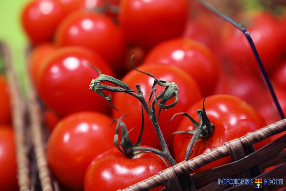 В Волгоградской области яйца и помидоры подешевели почти на 10%