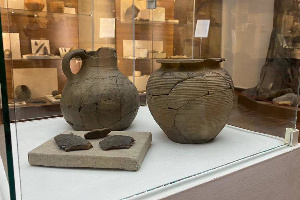 Уникальные артефакты времен Хазарского каганата переданы музею Волгограда