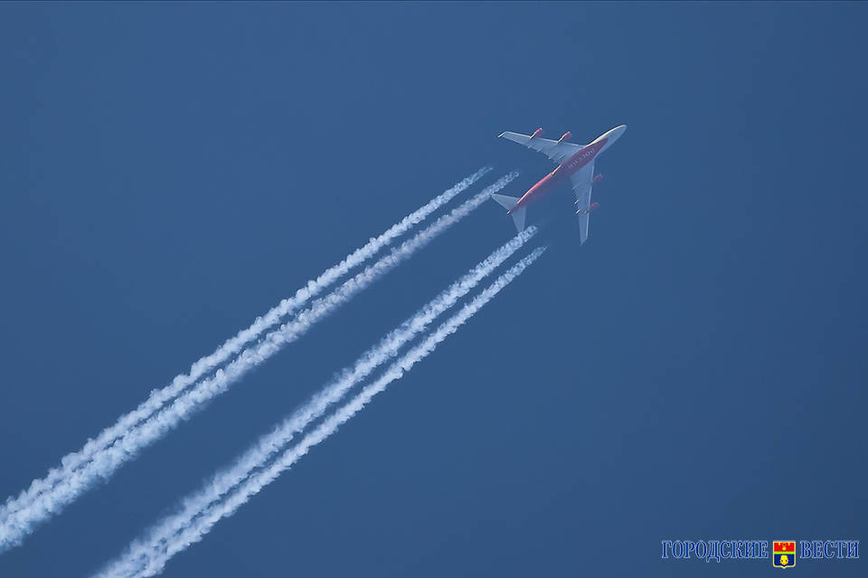 Самолет Москва — Волгоград столкнулся с птицей на высоте 900 метров