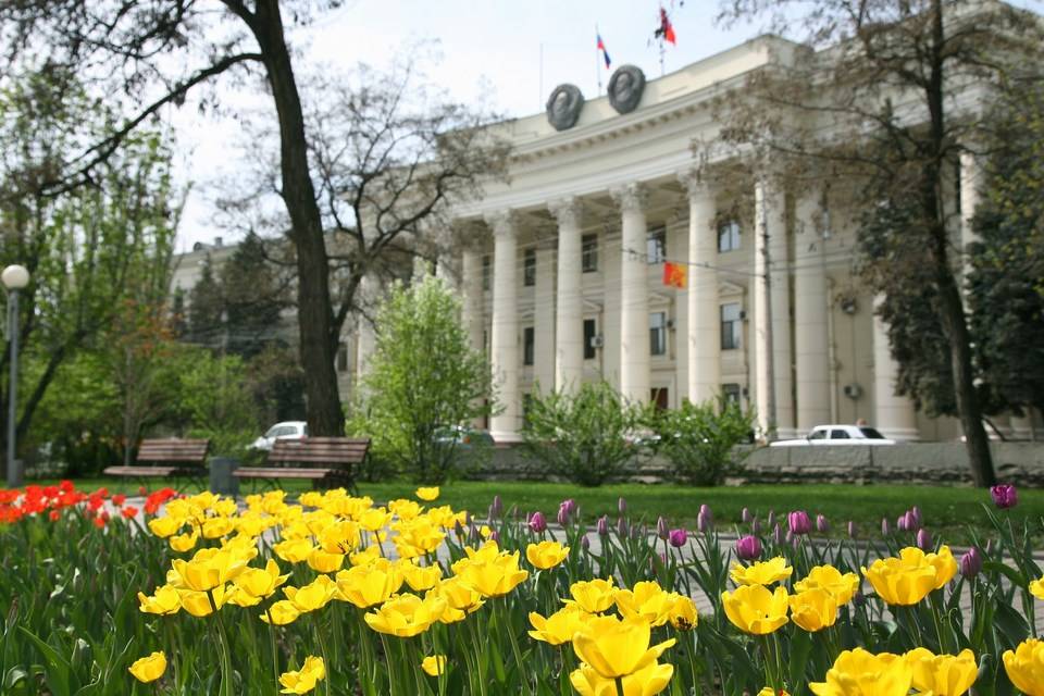 Волгоградская облдума утвердила свою «десятку» в Общественной палате региона