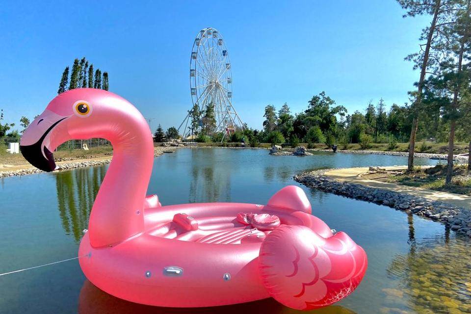 В Волгограде в пруду ЦПКиО появился розовый фламинго