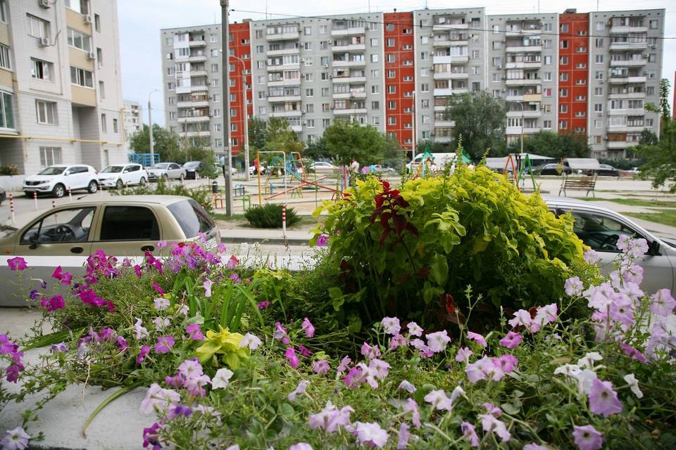 Парковки, урны и зоны для собак: архитекторы задумались над преображением дворов Волгограда