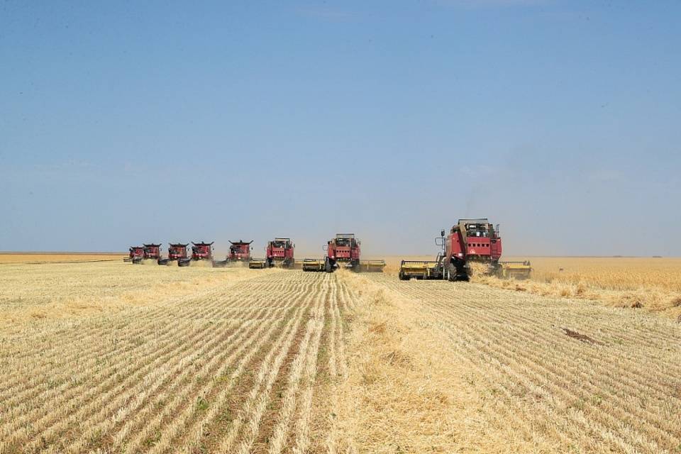 Уборочная в разгаре: волгоградские аграрии уже намолотили 2 млн тонн зерна