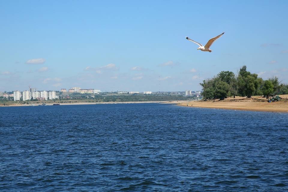 Волга в волгограде фото