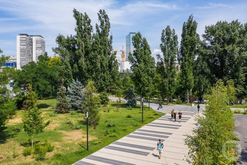 В Волгограде в конце июля установится тихая и солнечная погода