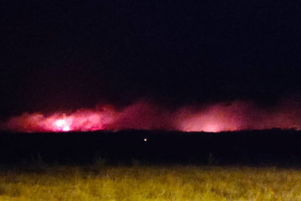 В Волгоградской области объявили экстренную эвакуацию из-за природных пожаров