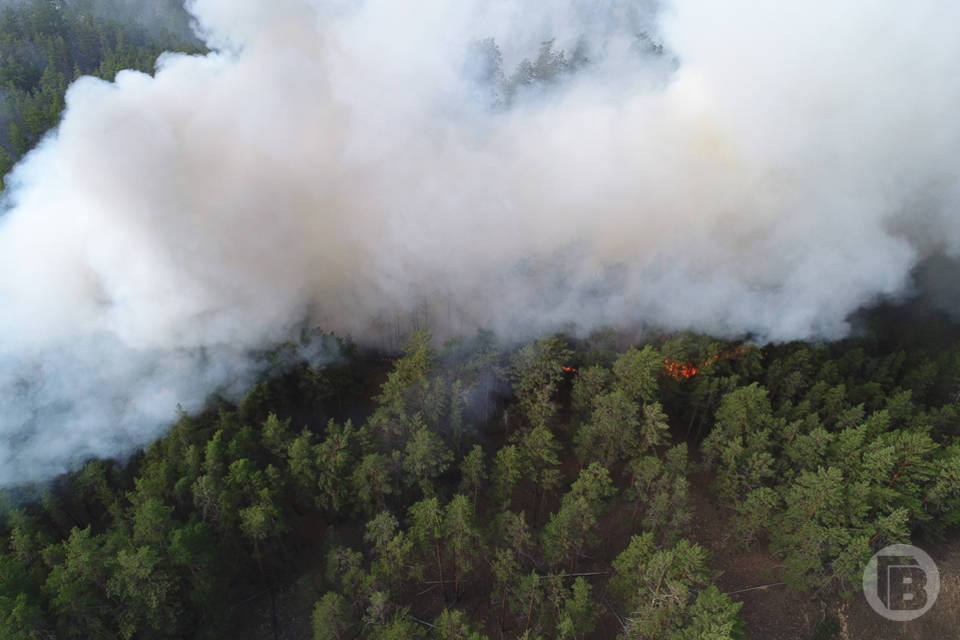 В Волгоградской области продолжают тушить сильнейший лесной пожар
