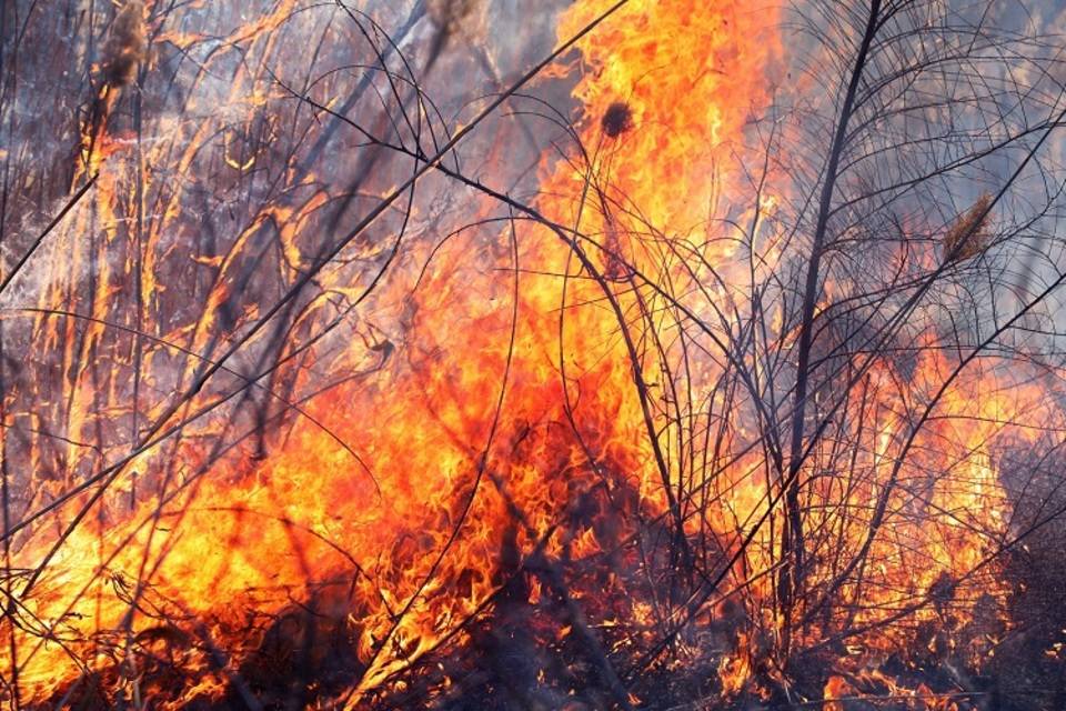 Жуткий вторник: в Волгограде сгорели три дома