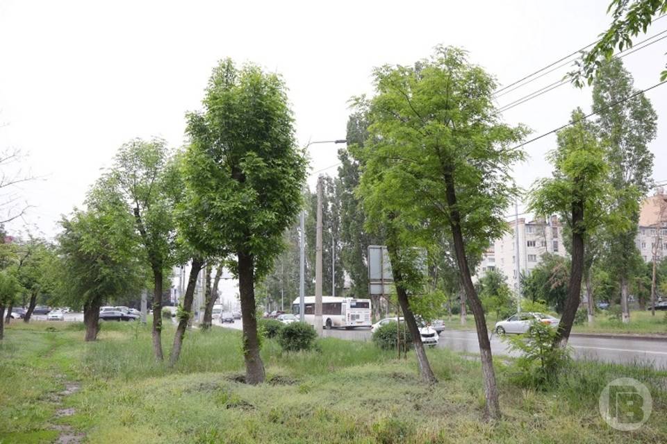 Пыльная буря сбила экстремальную жару в Волгограде