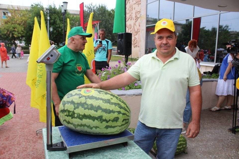 Попробуй подними: в Волгоградской области выбрали самый большой арбуз года