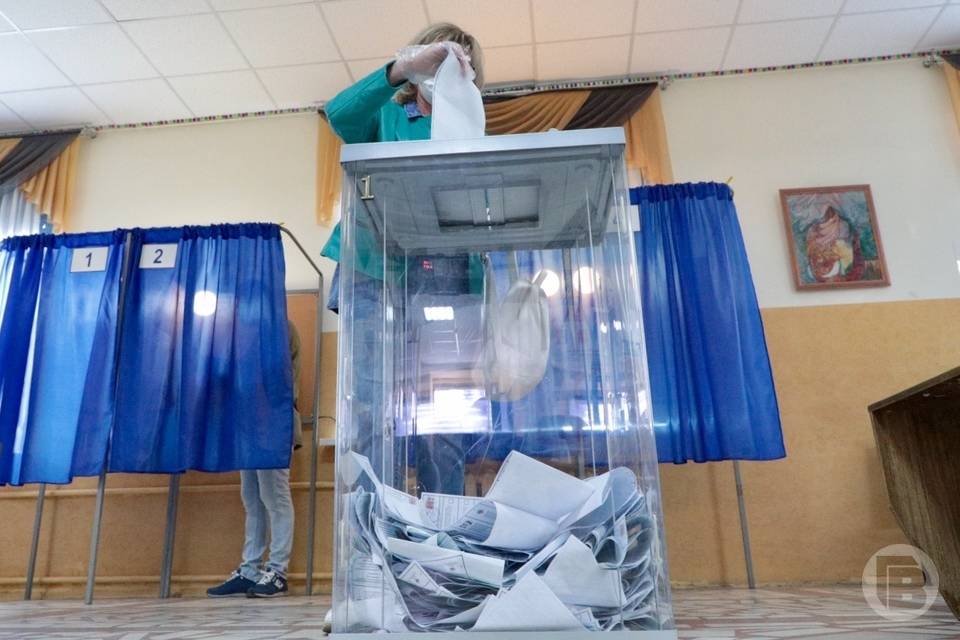 Явка волгоградцев на выборах в Госдуму составила уже 53,07%