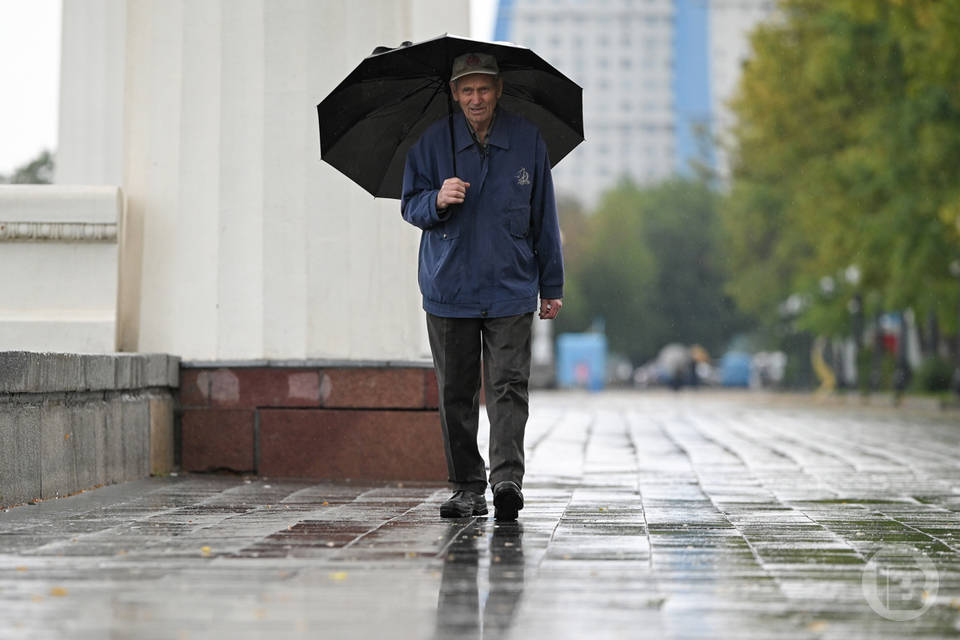 В Волгограде обещают кратковременный дождь с грозой