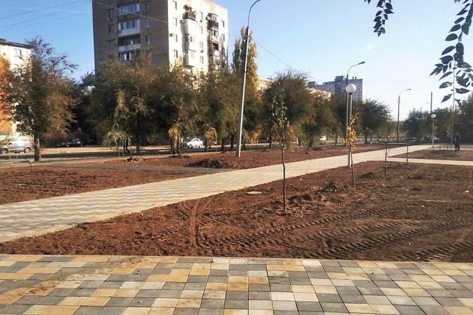 Новые дорожки и высадка деревьев: парк на юге Волгограда обретает свой образ
