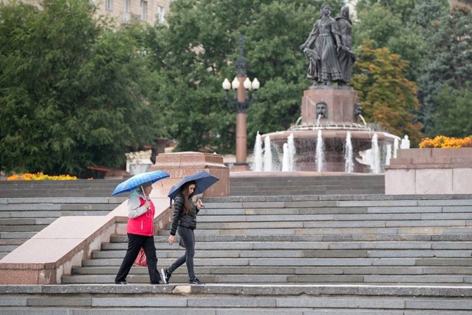 Волгоградскую область 29 октября ждет холодный ветер с дождем