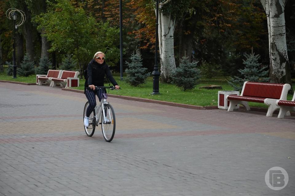Волгоградцы составят новый маршрут для прогулок пешком и на велосипеде