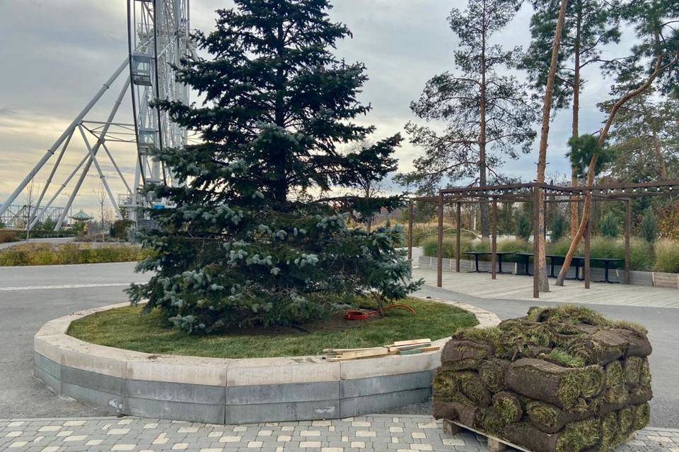 Главному парку Волгограда добавили зелени