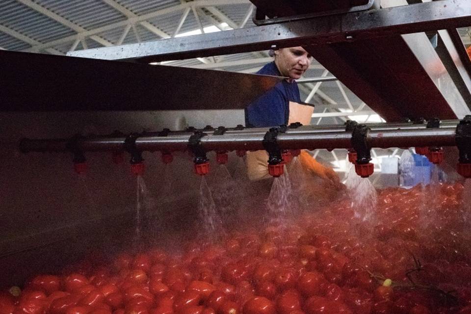 В Волжском новый консервный завод даст 500 рабочих мест