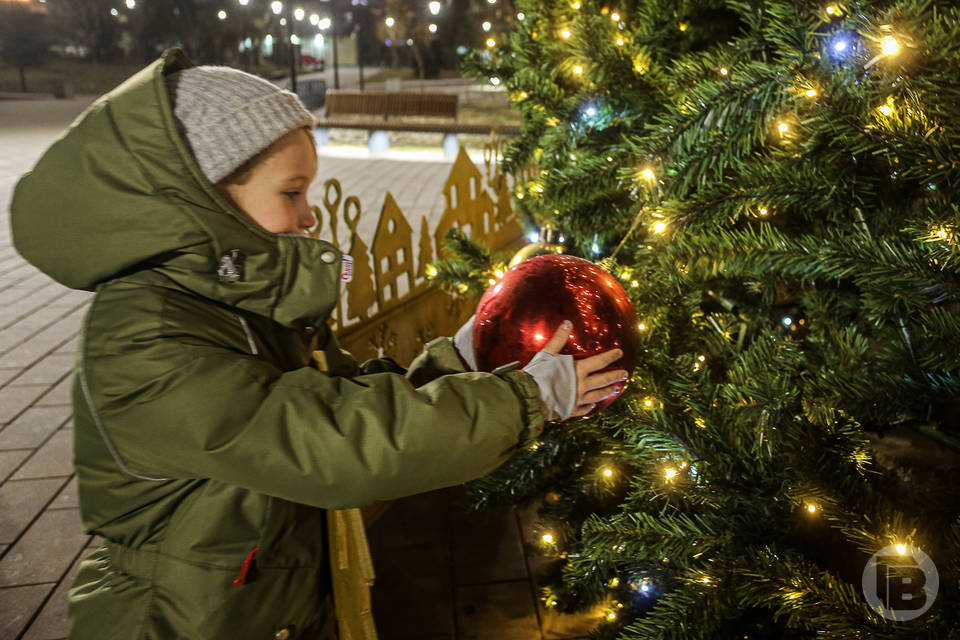 С 15 декабря в Волгограде стартует конкурс новогодних елей