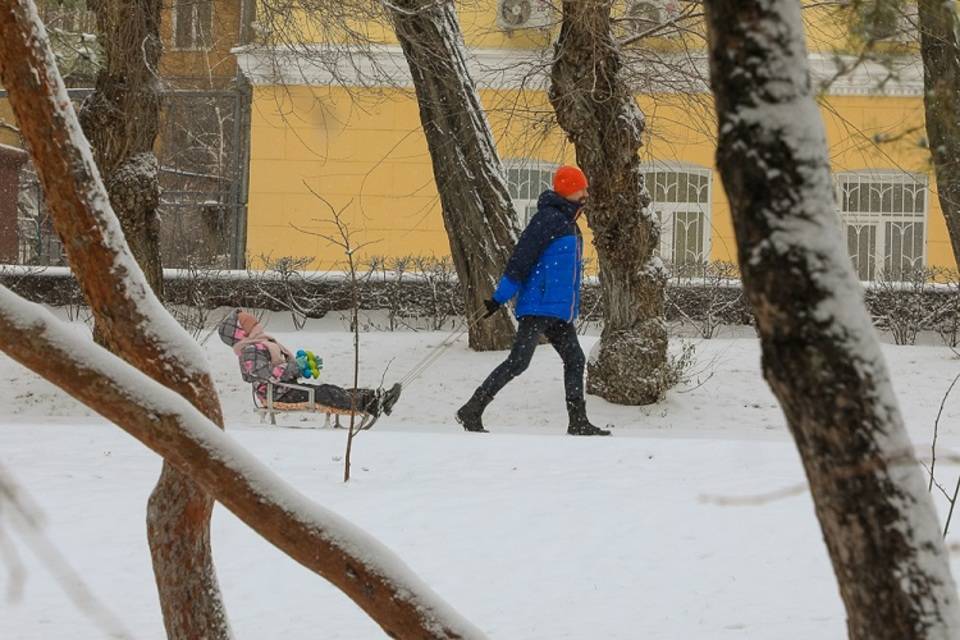 В Волгоградской области 28 декабря ударят морозы до -16º