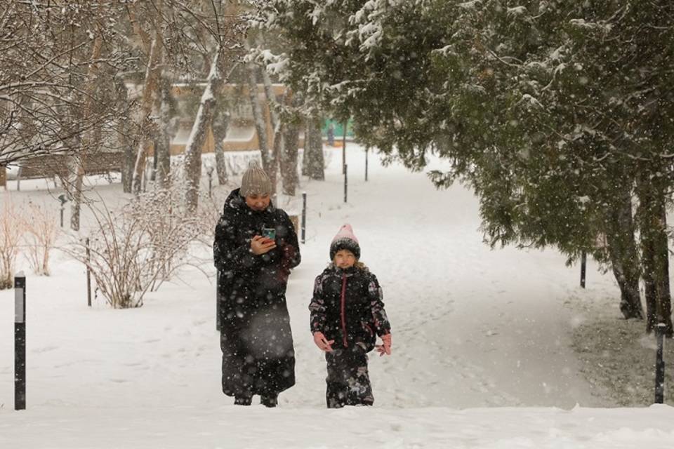 Снегопад и метель обрушатся на Волгоградскую область 29 декабря