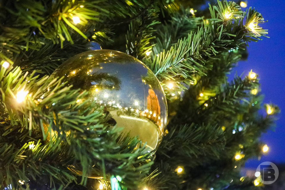 Волгоградцам рассказали о правильном выборе и сохранении новогодней елки