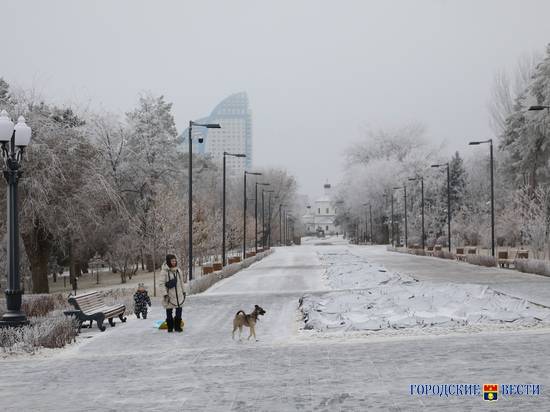 Снег, гололёд и метель ожидаются в Волгоградской области