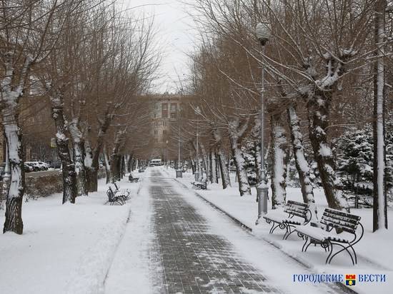 Снежный понедельник с крепкими морозами до -23 пришёл в Волгоградскую область