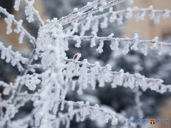 Волгоградцев предупреждают о тумане и морозе до -24 градусов 19 января