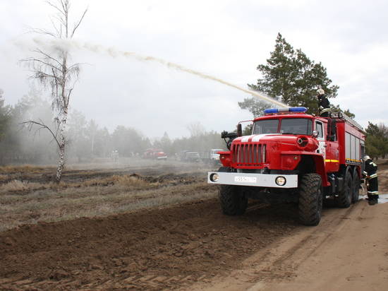 Леса Волгоградской области защитят от пожаров