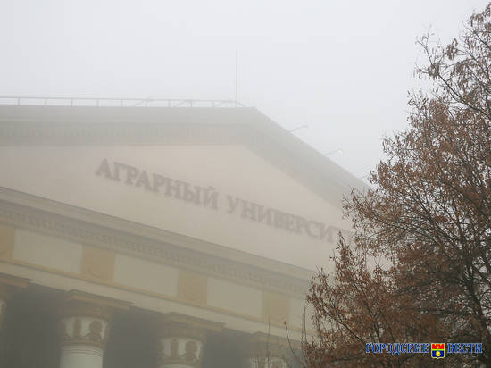Студентов Волгоградской области 1 февраля вернут к очному обучению