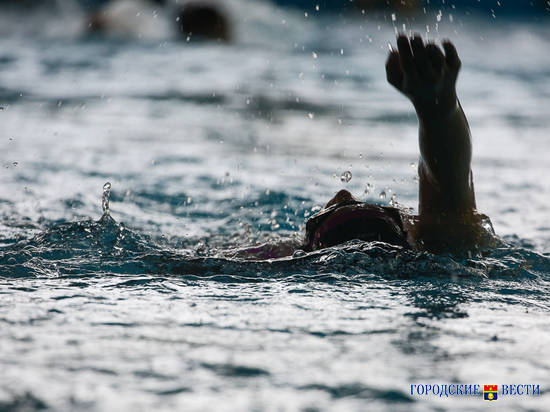 Пловцы Волгоградской области завоевали 15 золотых медалей