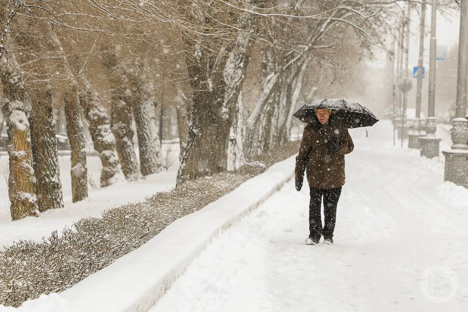 В Волгограде за сутки снегопад выдал половину нормы за месяц