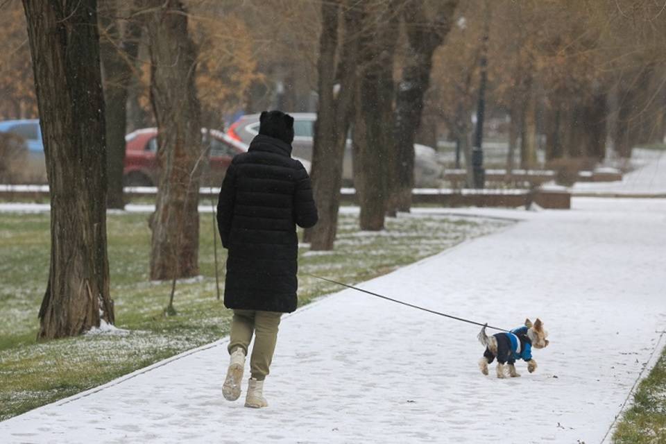 В Волгограде 19 января обещают мокрый снег и до -4º