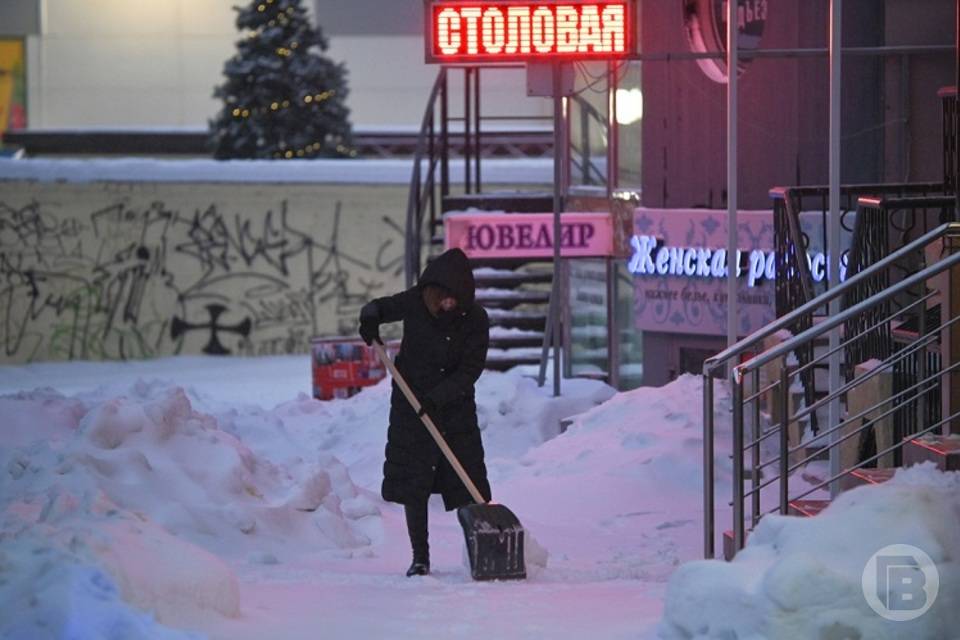 Дикий ветер и метель ожидаются в Волгоградской области 24 января