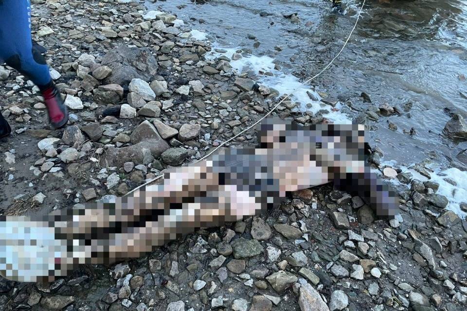 В Волгограде со дна реки подняли тело исчезнувшего программиста