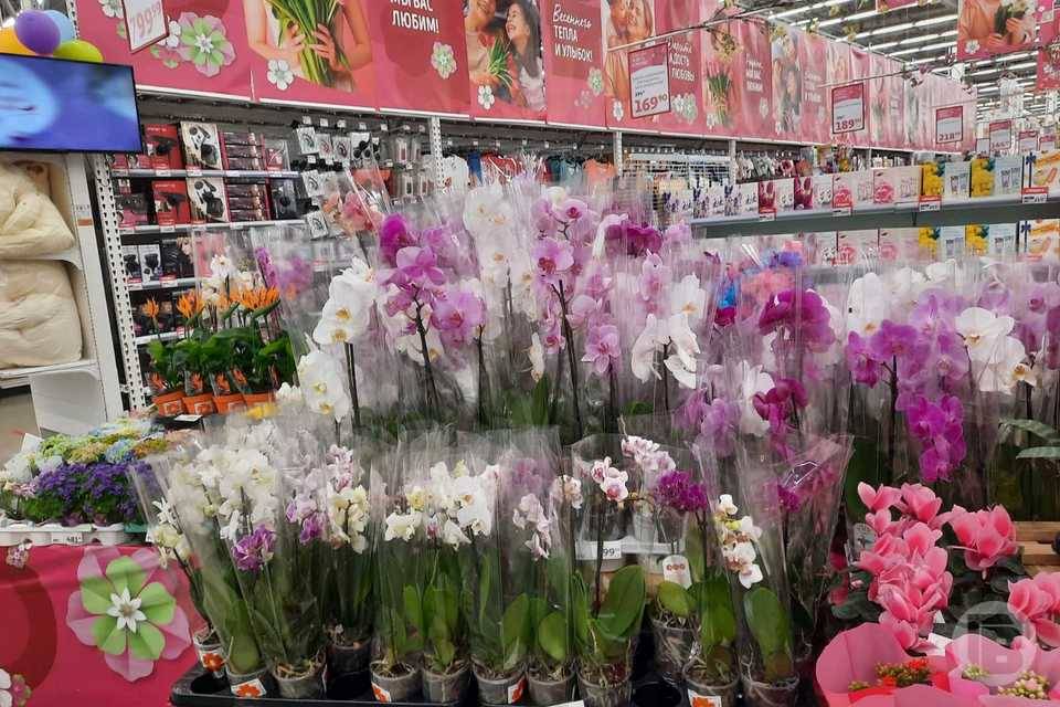 В Волгограде назвали свыше 100 точек, где идет предпраздничная торговля цветами