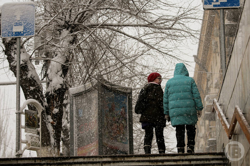 В Волгоградской области 8 марта пойдет снег