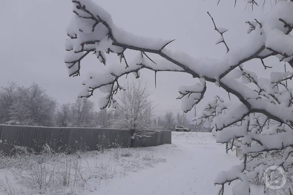 Туман и снег ожидают Волгоградскую область 15 марта