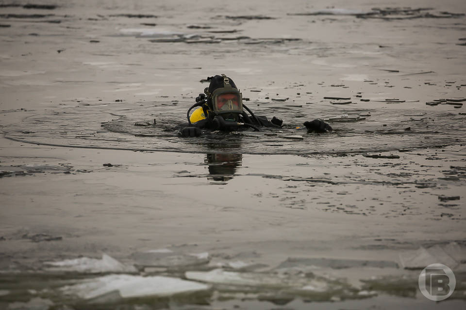 В Волгограде ищут пропавшего любителя подводной охоты