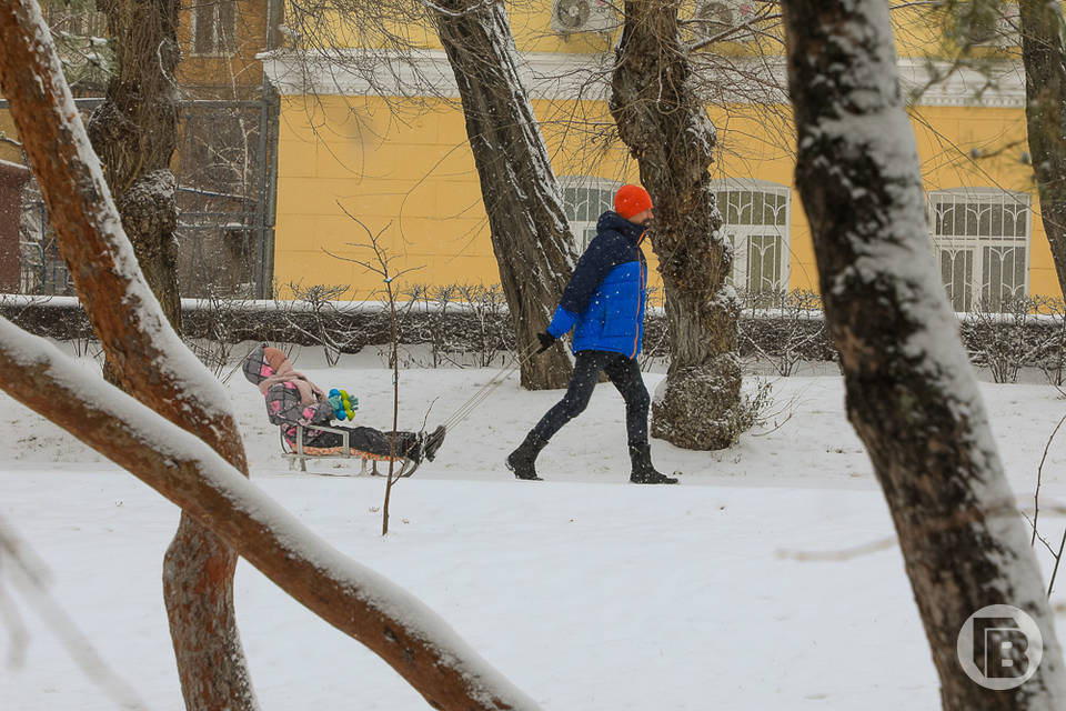 В Волгоградской области зима начинает капитулировать