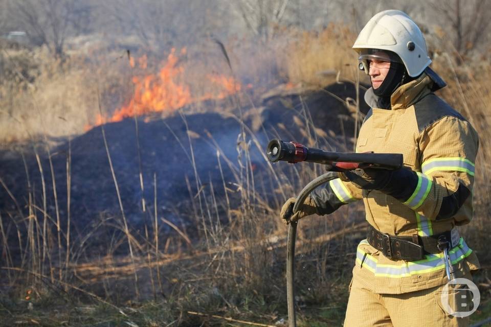 В Волгограде вспыхнул пожар в Волго-Ахтубинской пойме