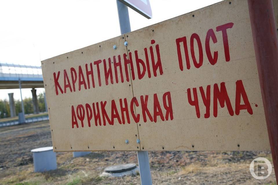 В Новоаннинском районе Волгоградской области введен карантин по АЧС