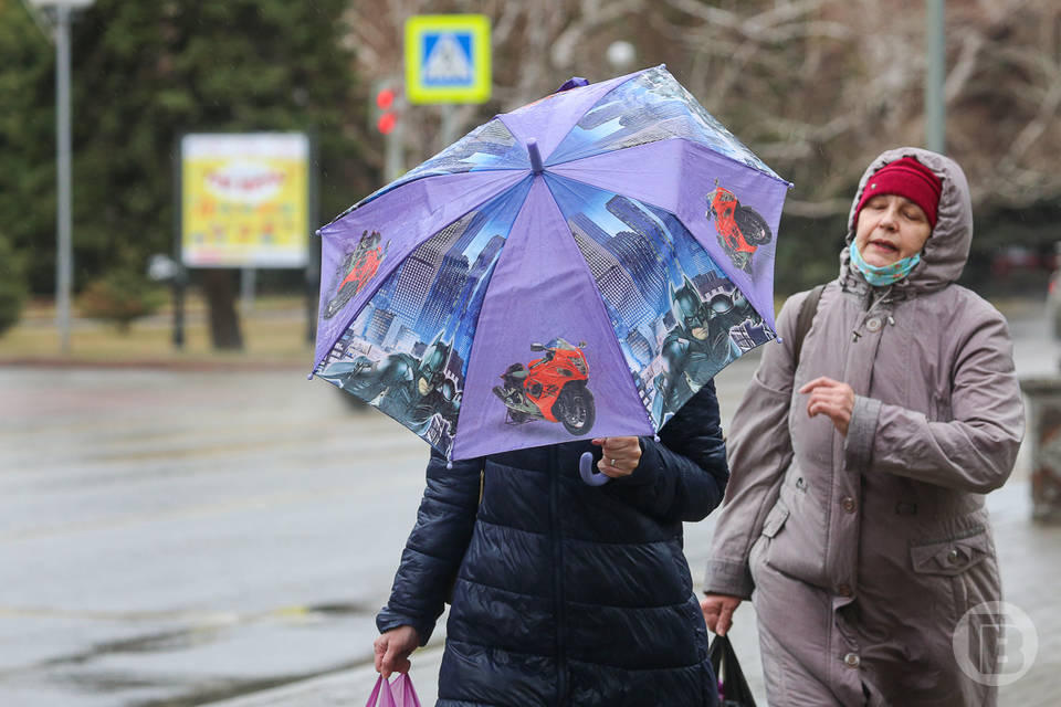 В Волгограде ожидают сильный ветер с дождем