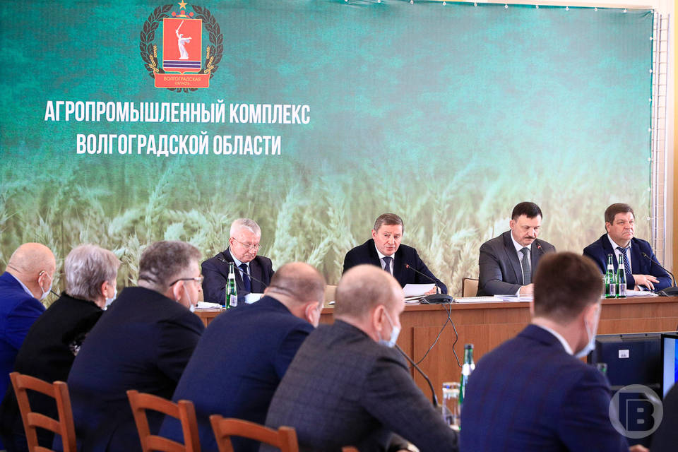 Андрей Бочаров поставил перед аграриями задачу собрать 4,7 млн тонн зерна в Волгоградской области